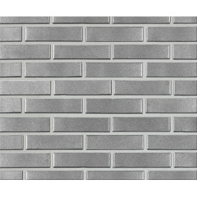 Facing brick empty CENTAUR WF, 210x100x50