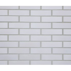 Facing brick empty WENUS WF, 250x120x65
